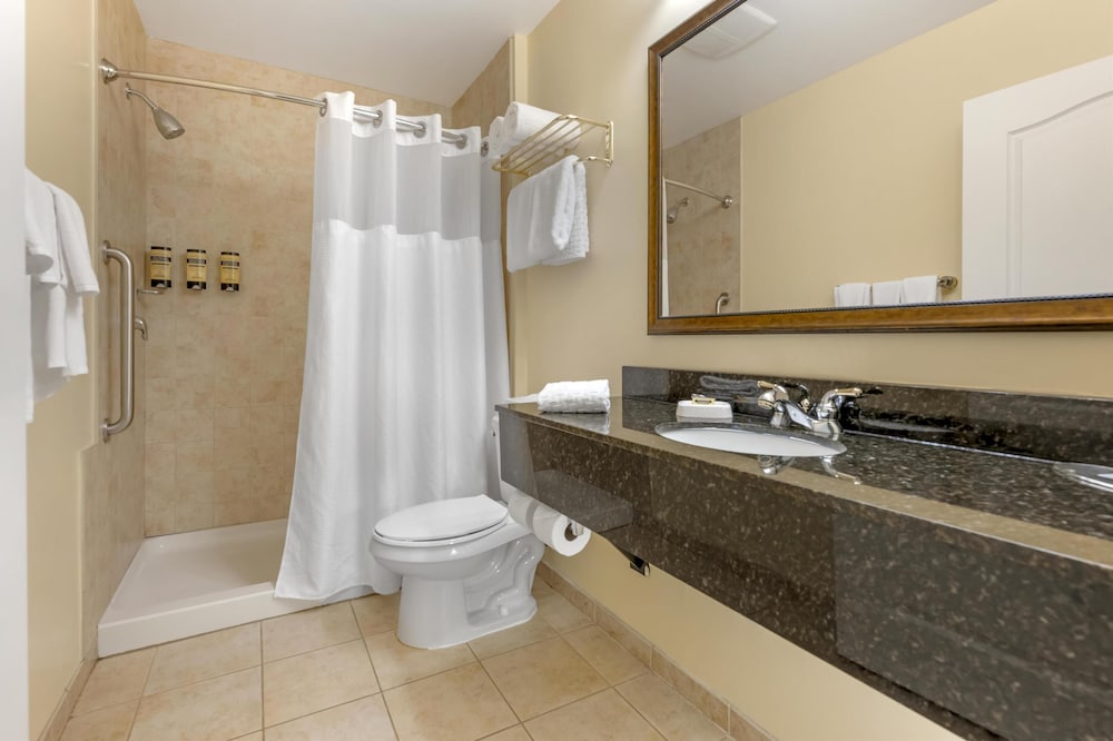 غرفة قياسية بسرير كينج مع أريكة لذوي الإعاقة، Best Western Plus Vineyard Inn & Suites 4/4