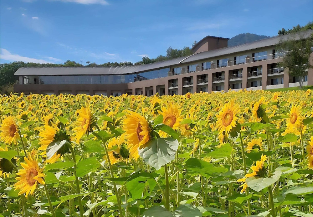Furano Hotel 7/62