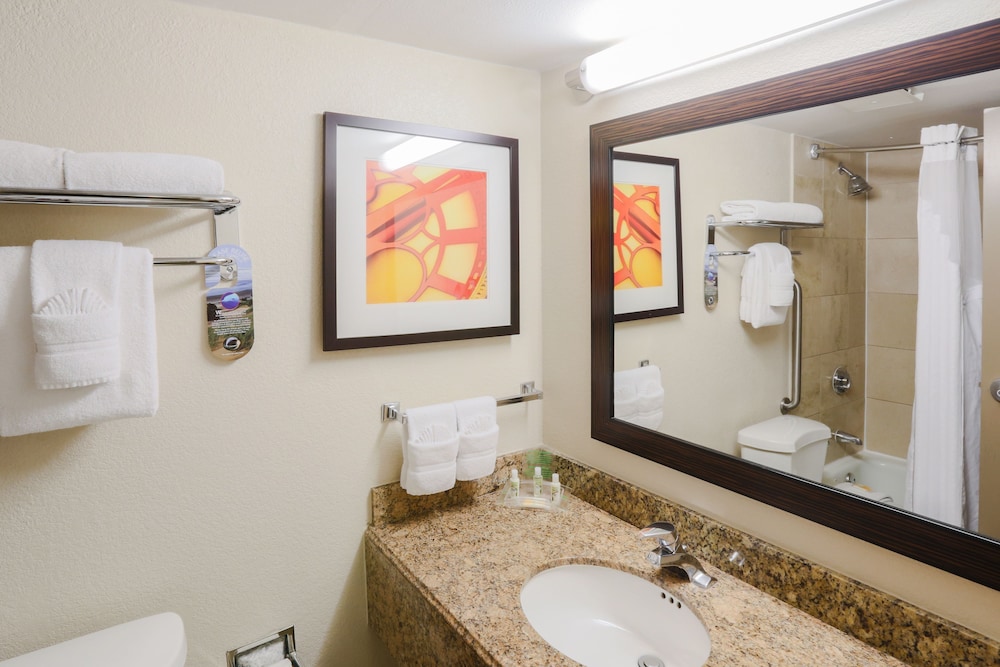 HOLIDAY INN AUSTIN MIDTOWN 18/78