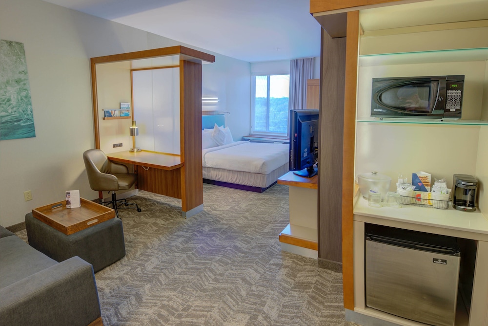 Springhill Suites Macon 15/28
