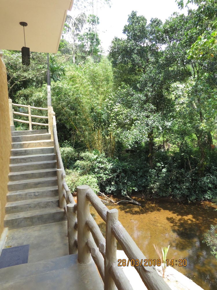 Sinharaja Birder's Lodge 31/36