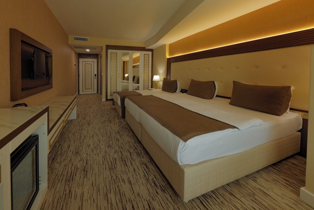 Van Life Otel 19/50