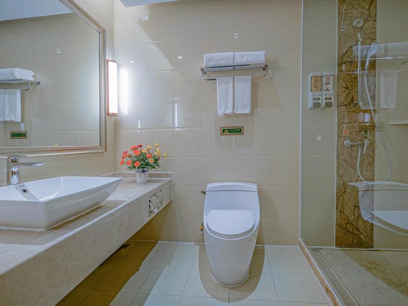 Vienna International Hotel (Chongqing Yijiaba) 17/17