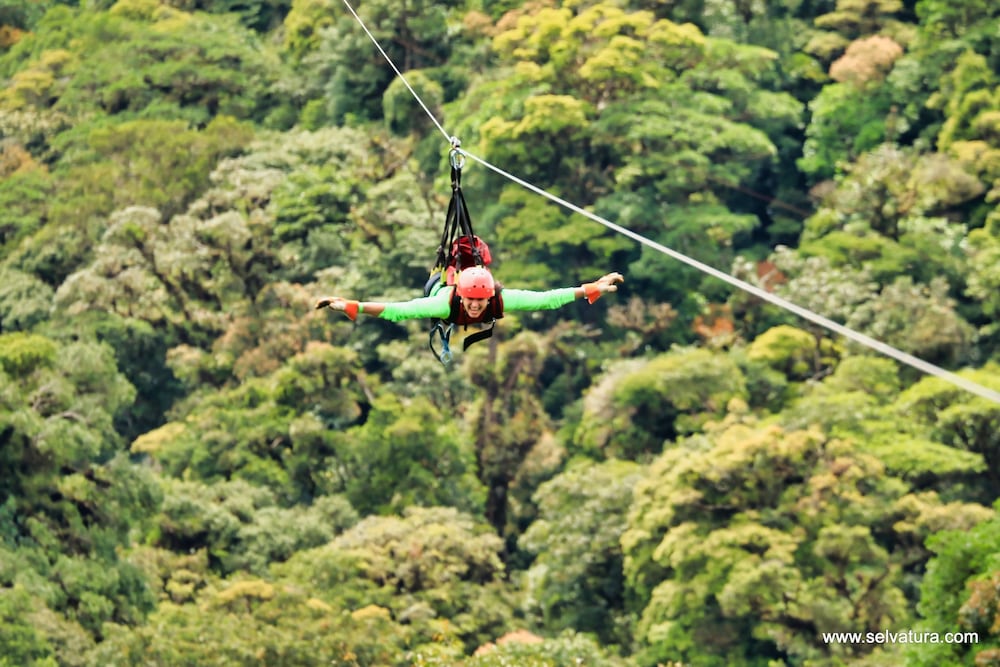 Hotel Ficus Monteverde 54/74