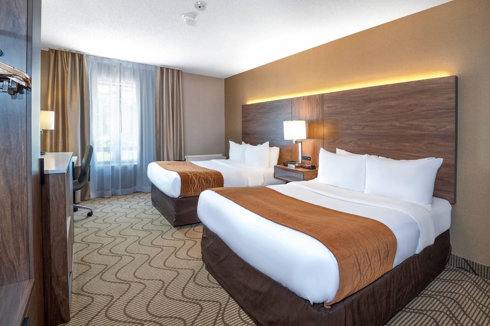 Comfort, 2 Double Beds, High Floor