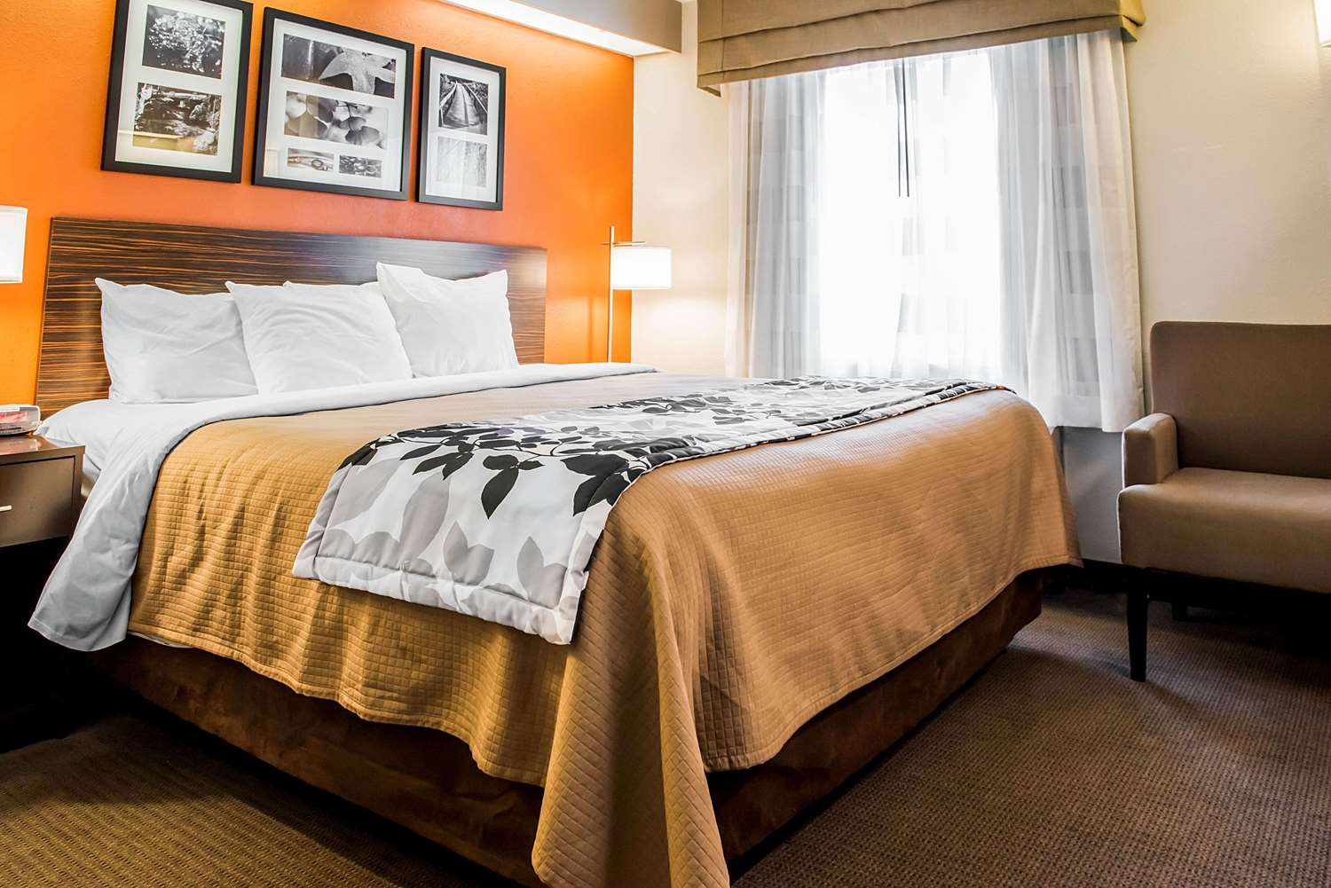 Quality Inn Bridgeport-Clarksburg 2/17