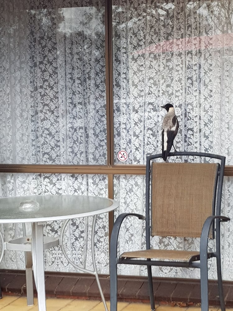 Warrnambool Motel And Holiday Park 6/74