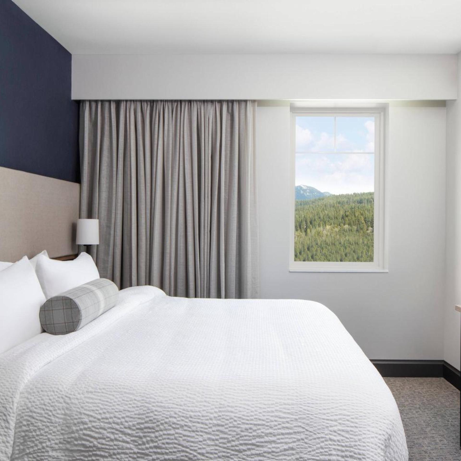 1 Bedroom, Lone, Suite, King Bed, Peak View, Sofa