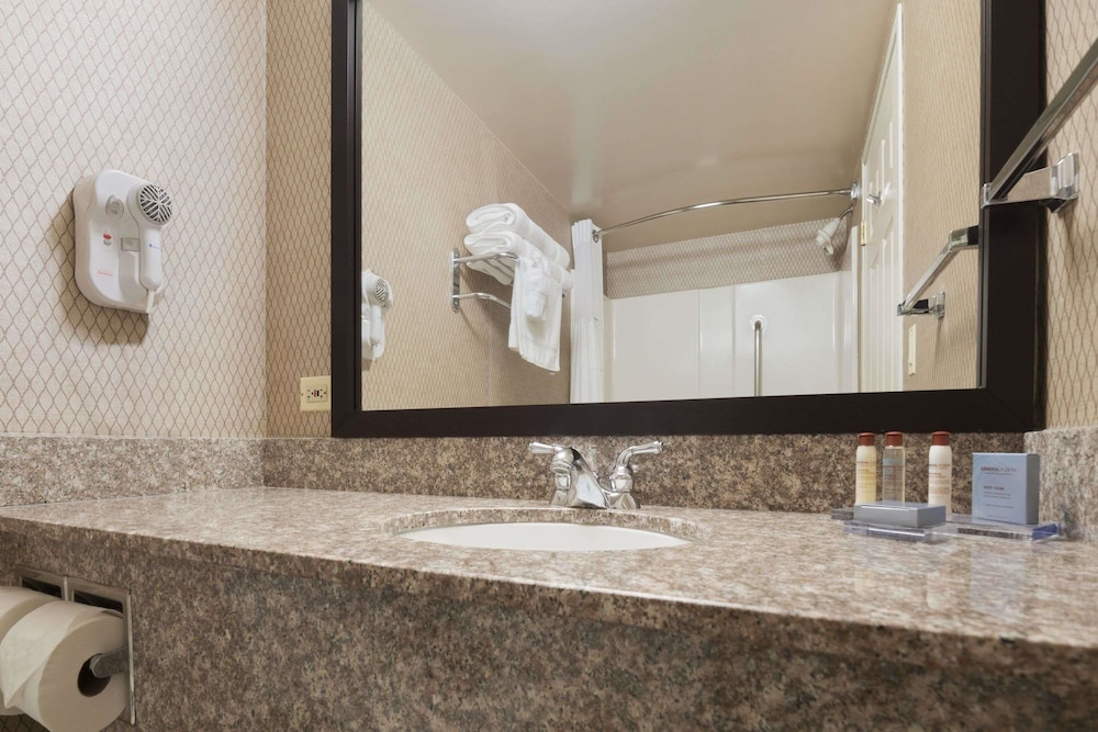 Wingate by Wyndham Schaumburg / Convention Center 23/72