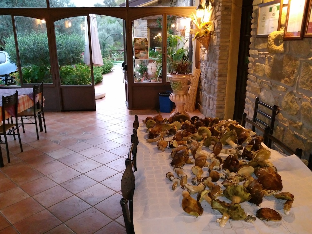 Agriturismo L'uliveto 32/50