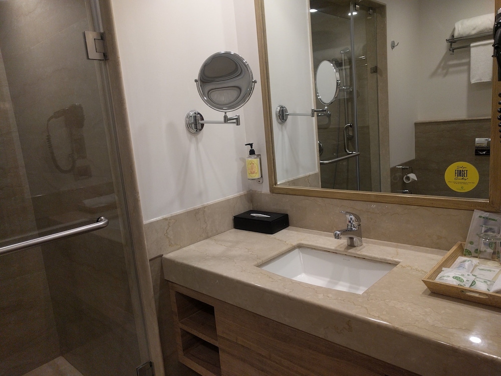 Lemon Tree Premier City Center Gurgaon 30/53