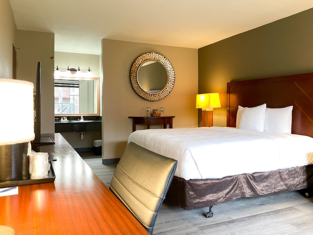 DELUXE, KING BED
