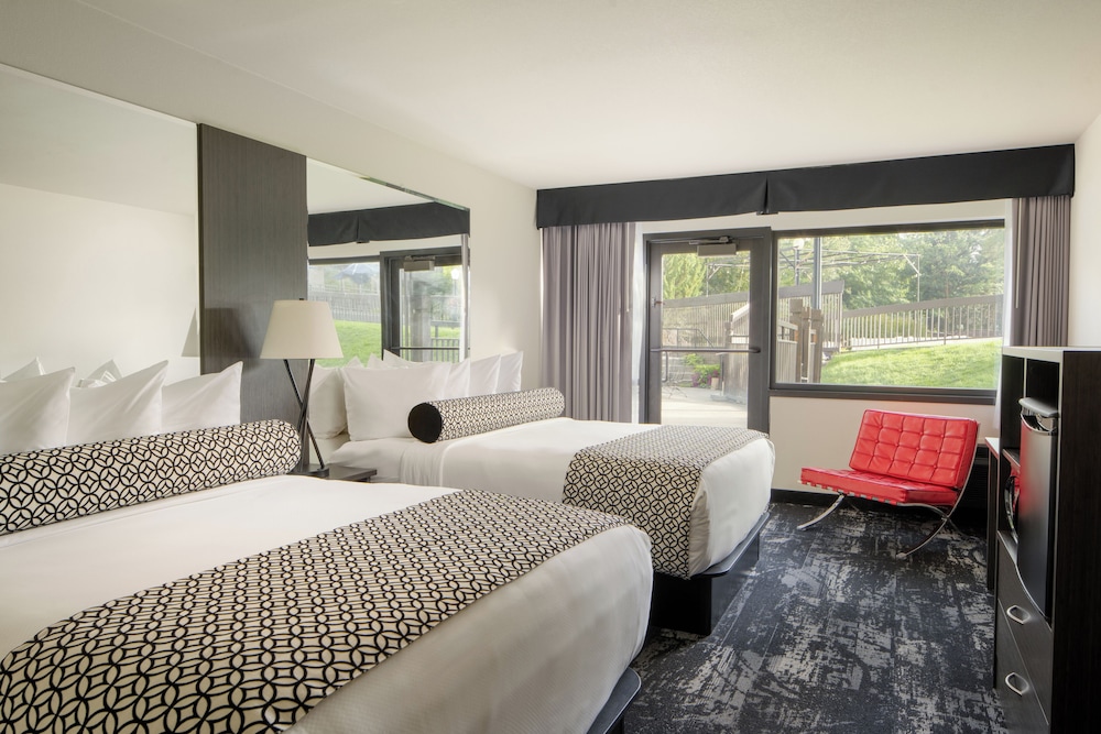 POOL, DELUXE, 2 QUEEN BEDS