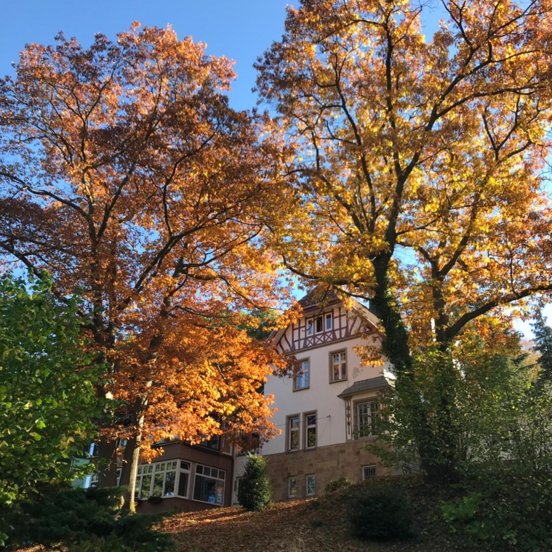 Waldhotel Bad Munstereifel 39/44