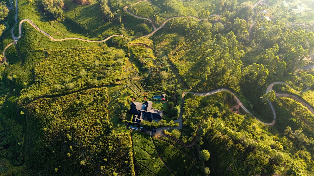 Camellia Hills 49/58