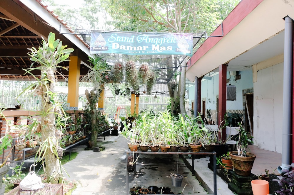 OYO 563 Damar Mas Resort Lereng Kelud 9/61