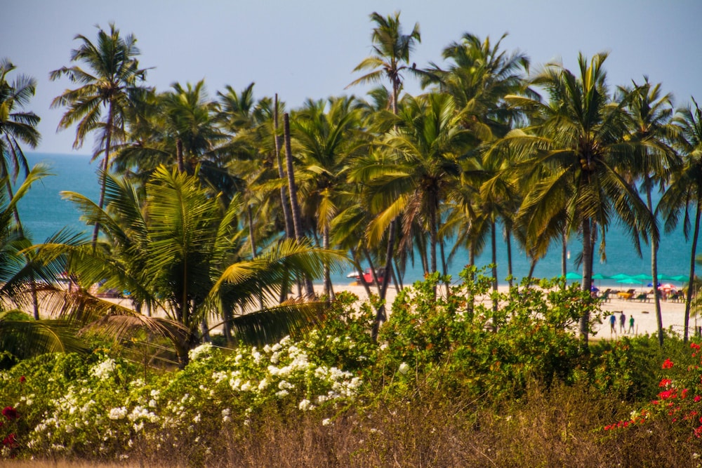 Praia Da Oura - Boutique Resort 41/50