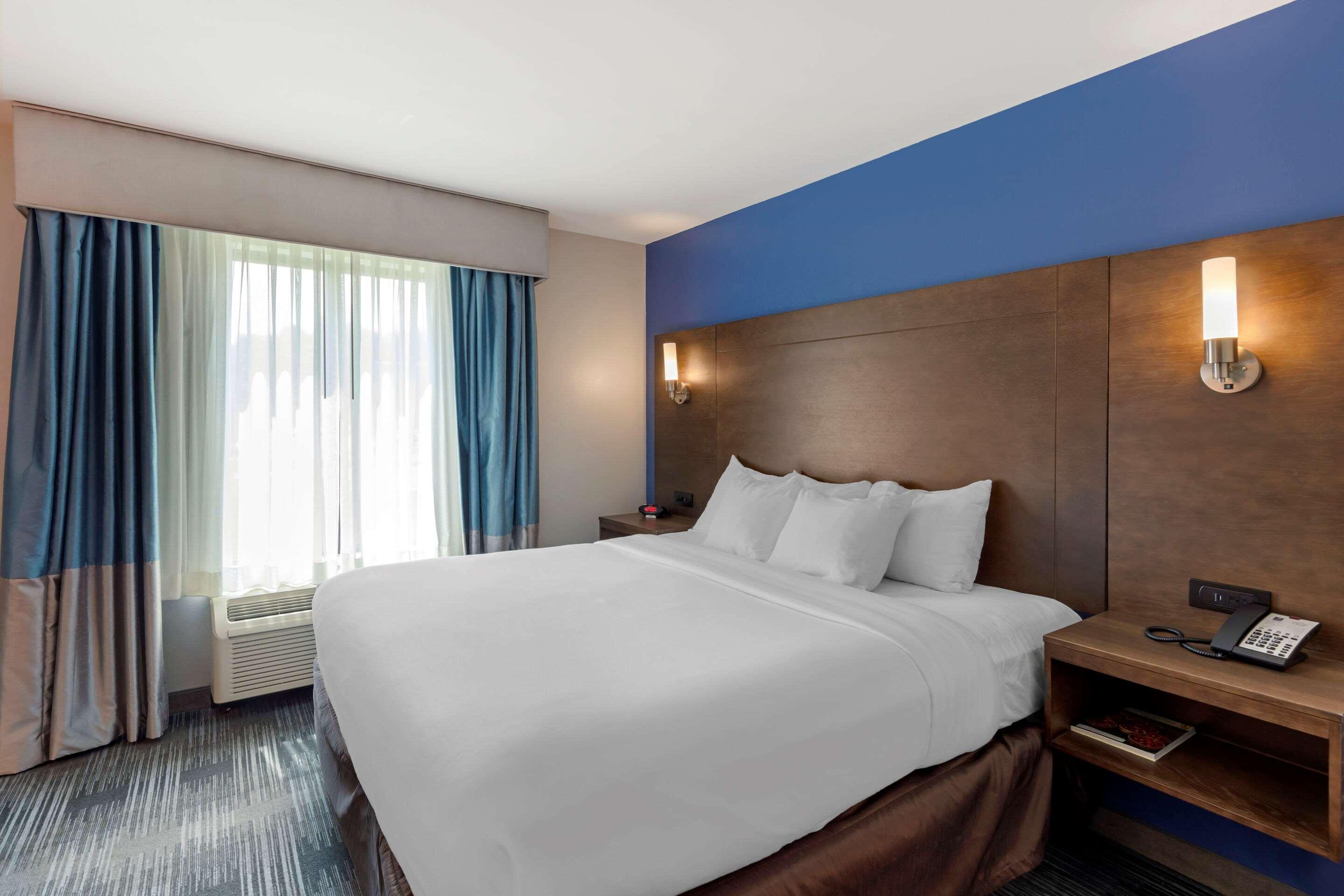 Suite, King Bed
