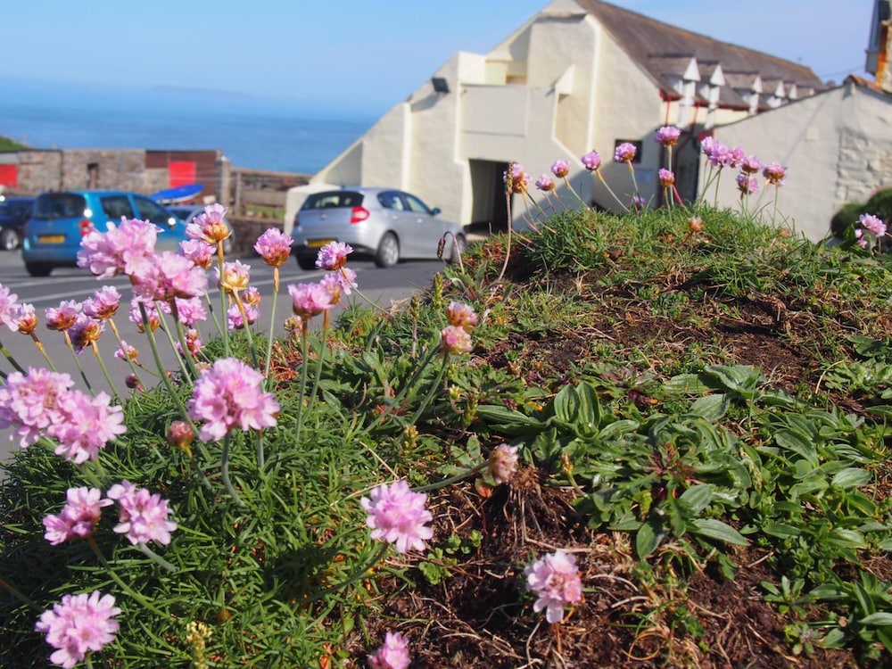 Hartland Quay Hotel 32/39