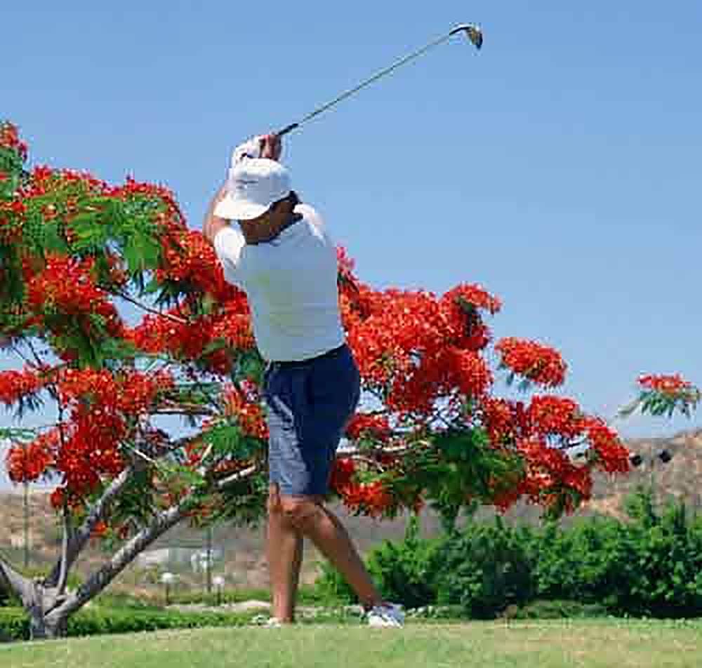 Raintree Apos S Cimarron Golf Resort 46/50