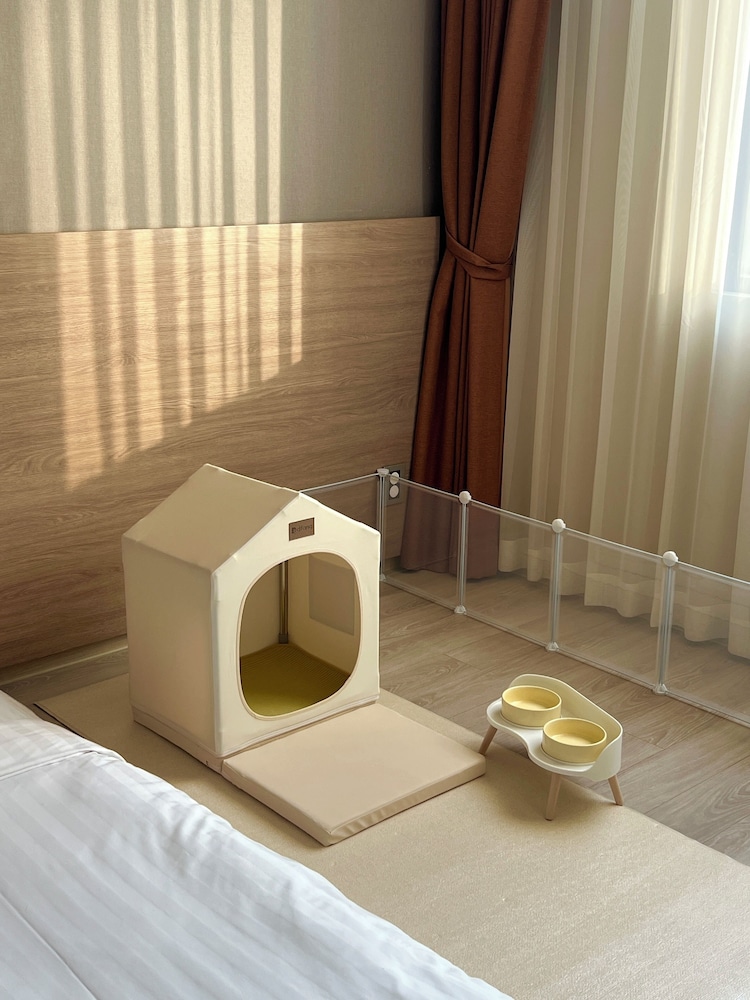 Gangneung City Hotel 45/61