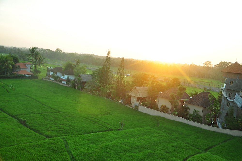 The Evitel Ubud 37/63