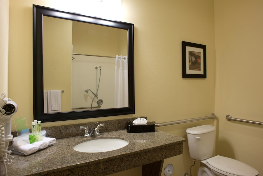 Holiday Inn Express Hotel And Suites Prattville South 21/53