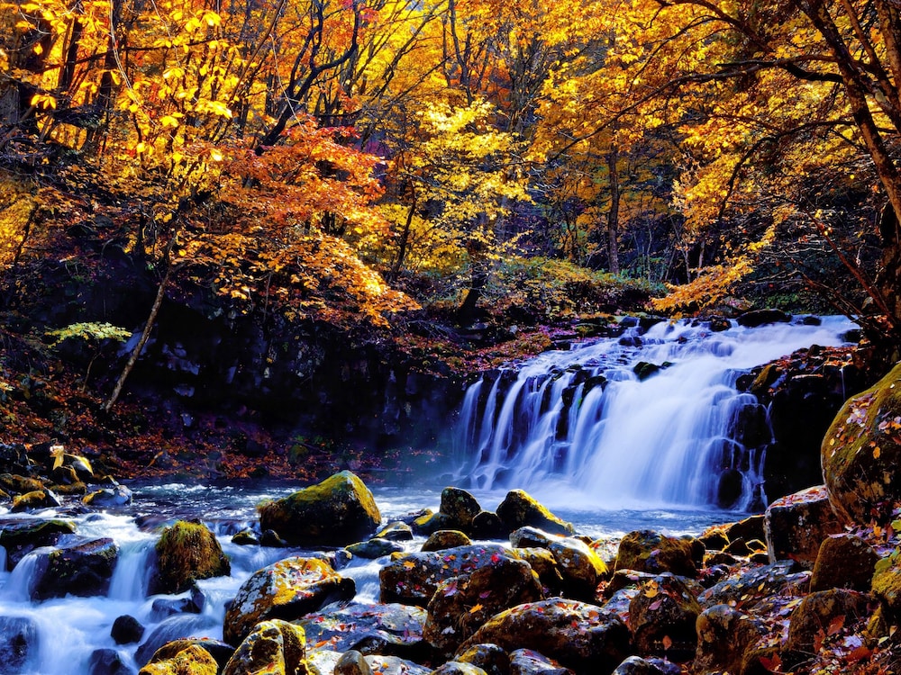Tateshina Shinyu Onsen 62/67