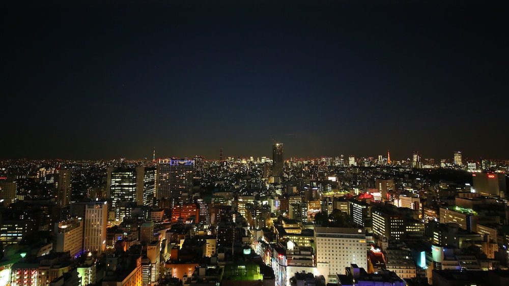 新宿格拉斯丽酒店(Hotel Gracery Shinjuku) 图片4