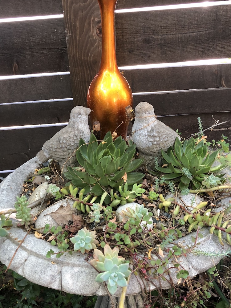 Glen Ellen Inn 29/62