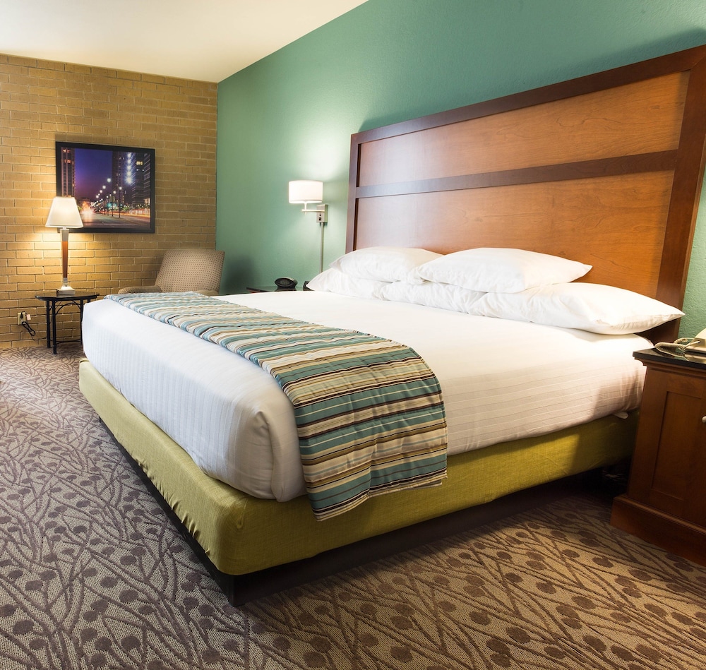 Drury Inn Suites Atlanta Morrow 15/50