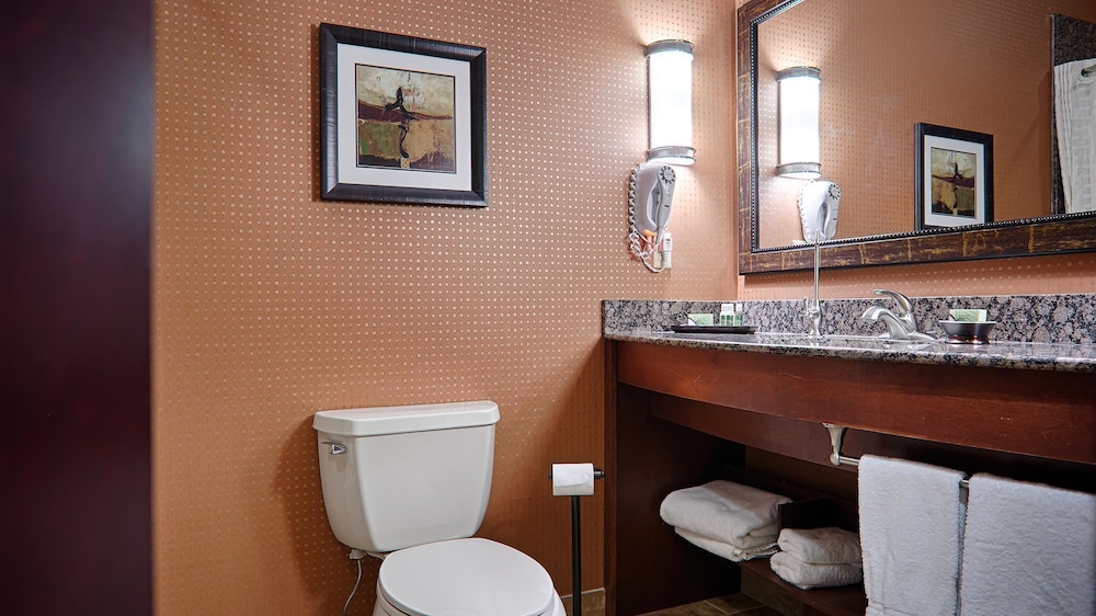 Best Western Plus KC Speedway Inn & Suites 9/31