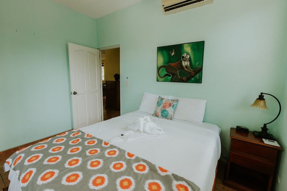Hotel La Posada And Jungle 16/74