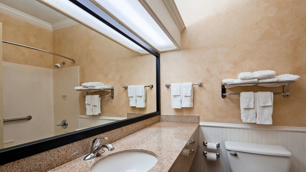 Best Western Dinosaur Valley Inn & Suites 15/37