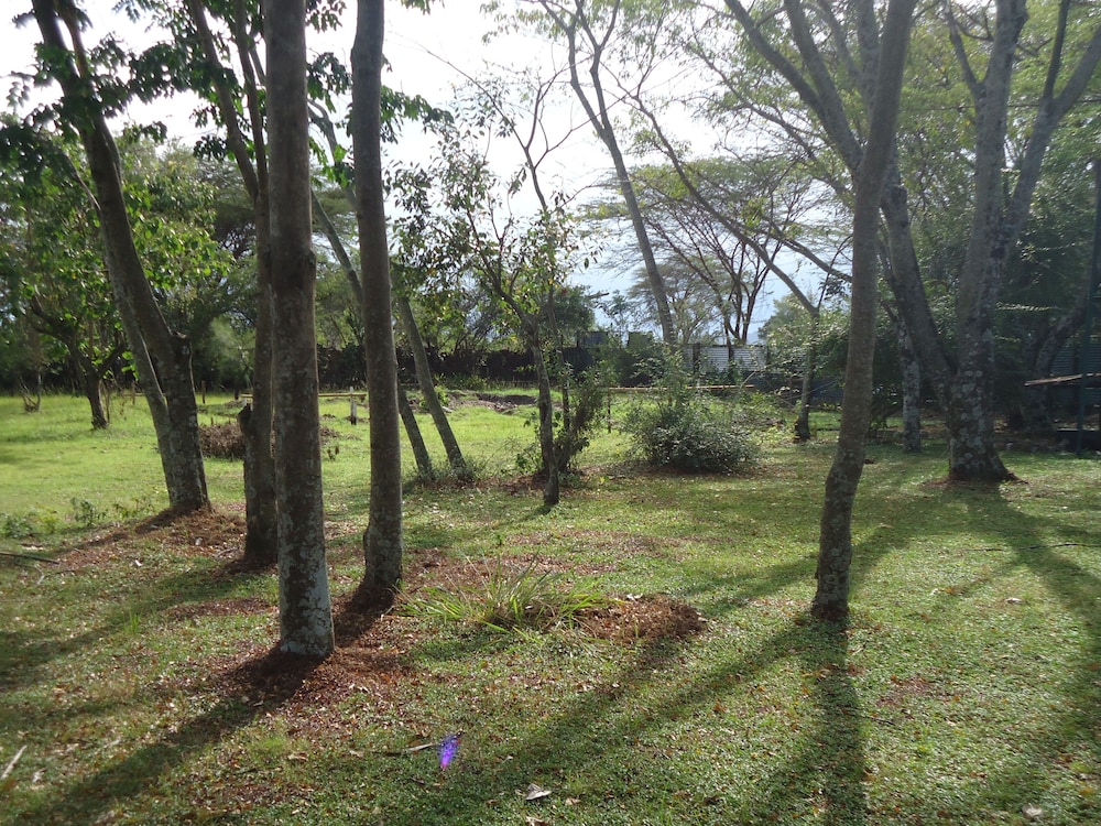 Mara River Lodge 50/50