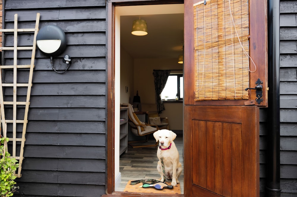 Norfolk Accommodation - mYminiBreak 8/50