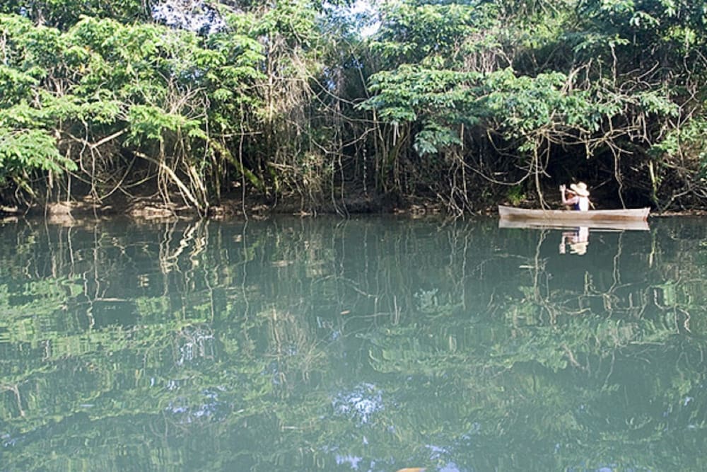surroundings