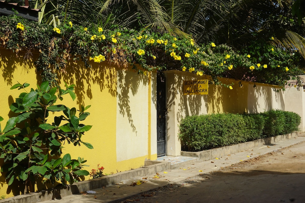 Bed And Breakfast Villa Calliandra 37/50