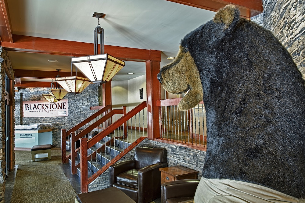 Blackstone Mountain Lodge 24/64