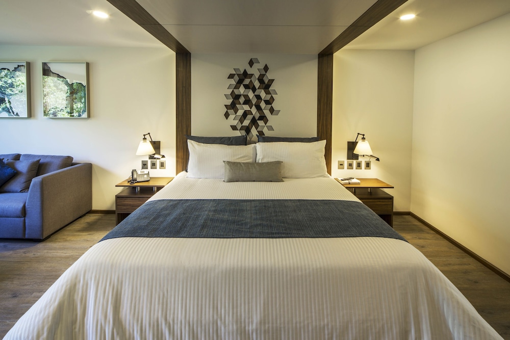 Flowsuites Condesa - Adults Only 10/58