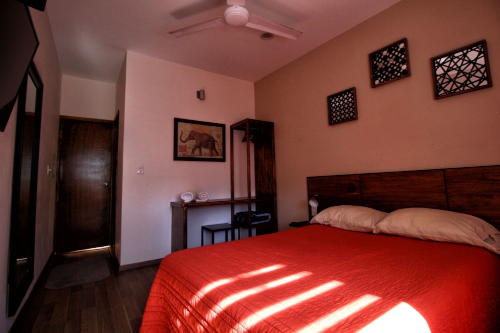Hostel Hospedarte Chapultepec 13/49