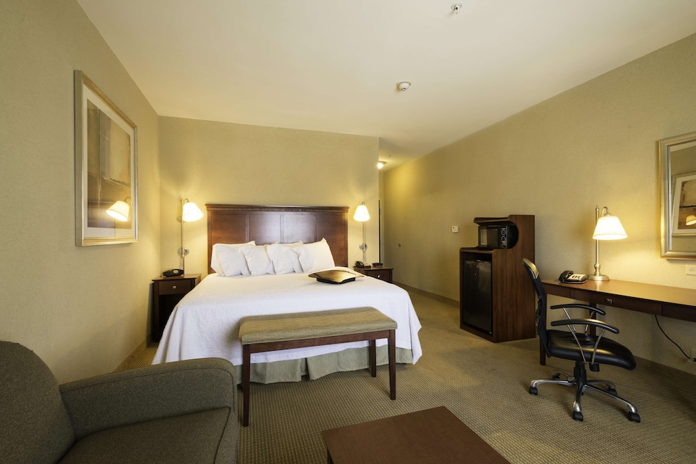 Hampton Inn Suites Abilene I-20 19/65