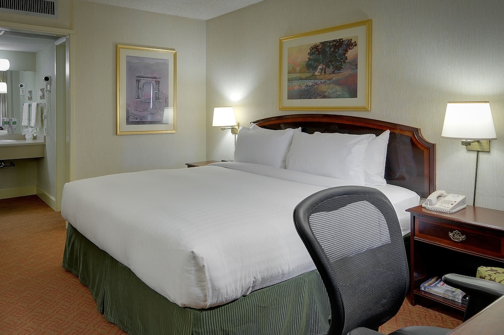 Vagabond Inn Executive San Francisco Airport 15/28