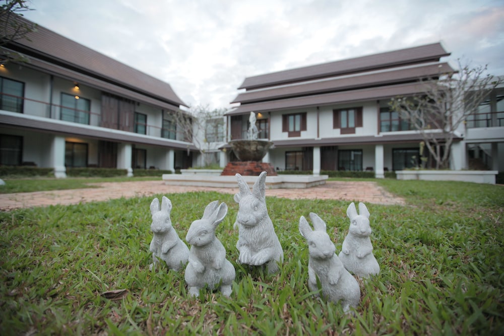 Wiangkaew Hotel 7/33