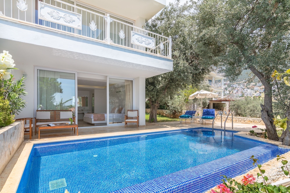 Oasis 5/50