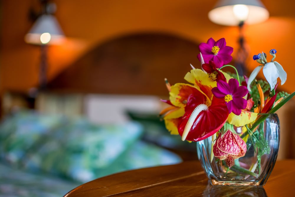 ネペンテ B&B 写真2