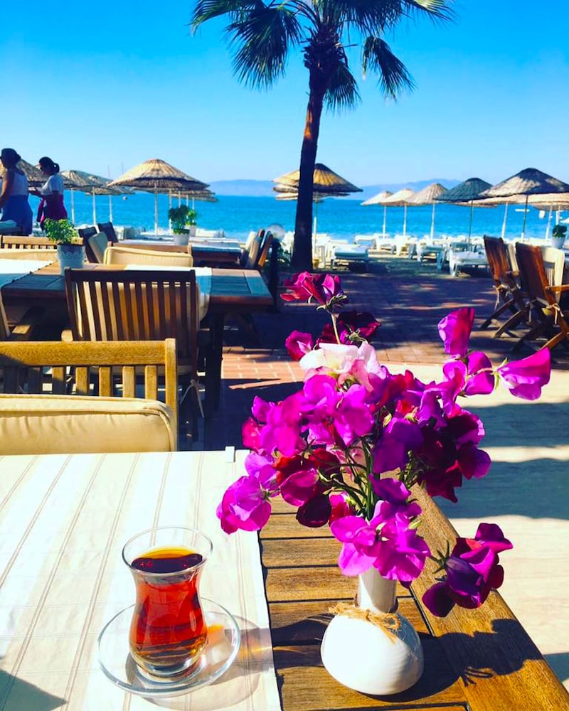 Toloman Hotel Bitez Beach 24/50