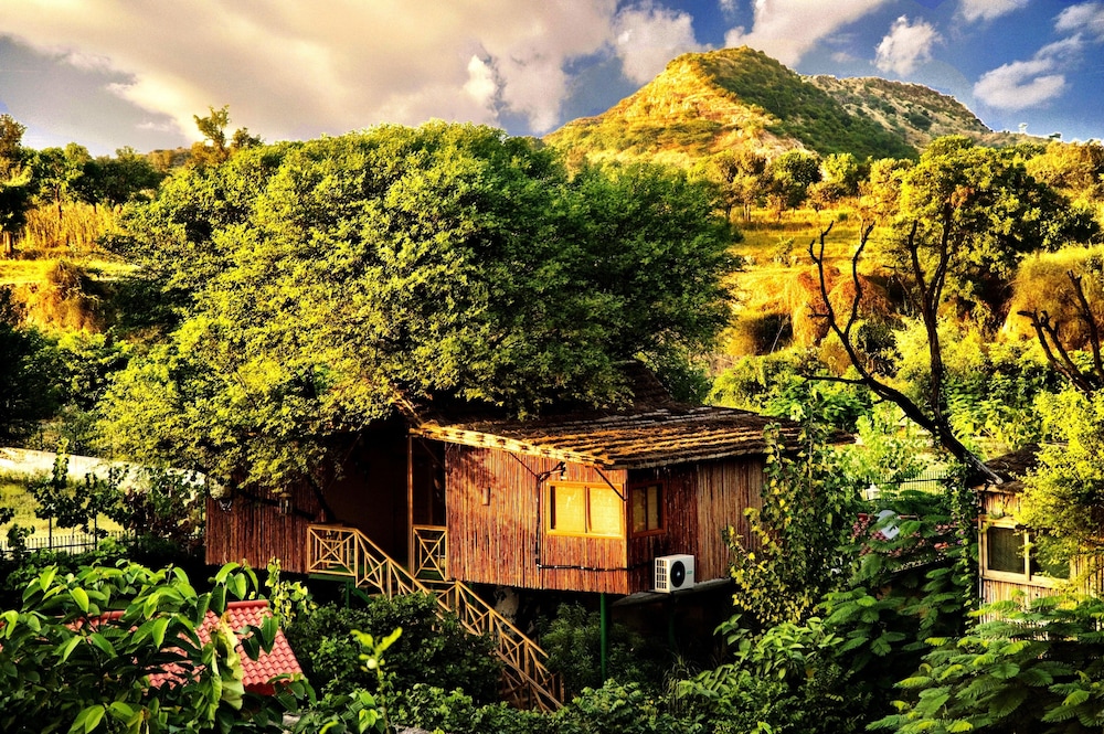 The Tree House Resort photo4