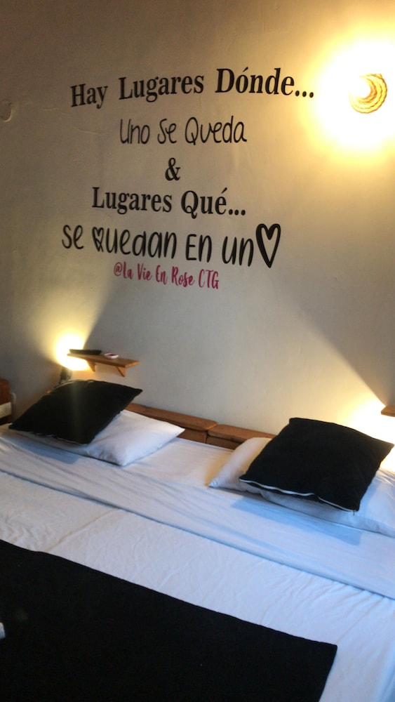 La Vie en Rose CTG 14/25