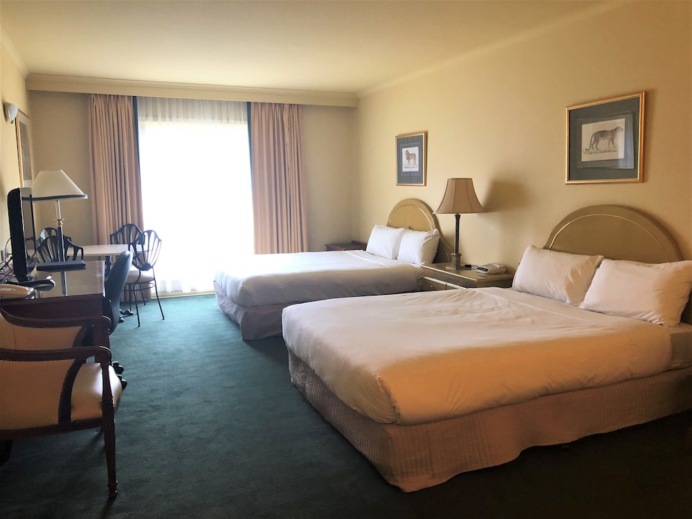 ROWVILLE INTERNATIONAL HOTEL 16/46